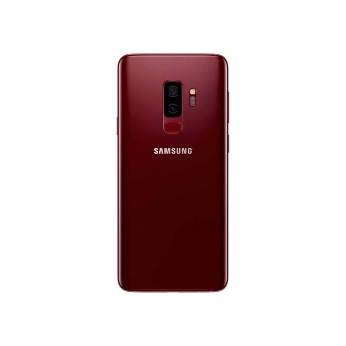 Burgundy Red